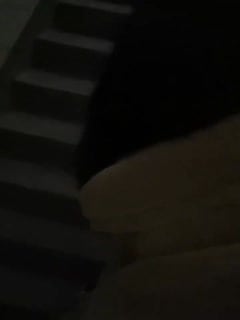 小情侣寻求刺激